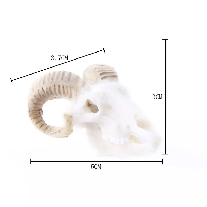 Decoración para Acuario Cráneos de Resina - Dinosaurios, Cocodrilos y Animales para Pecera