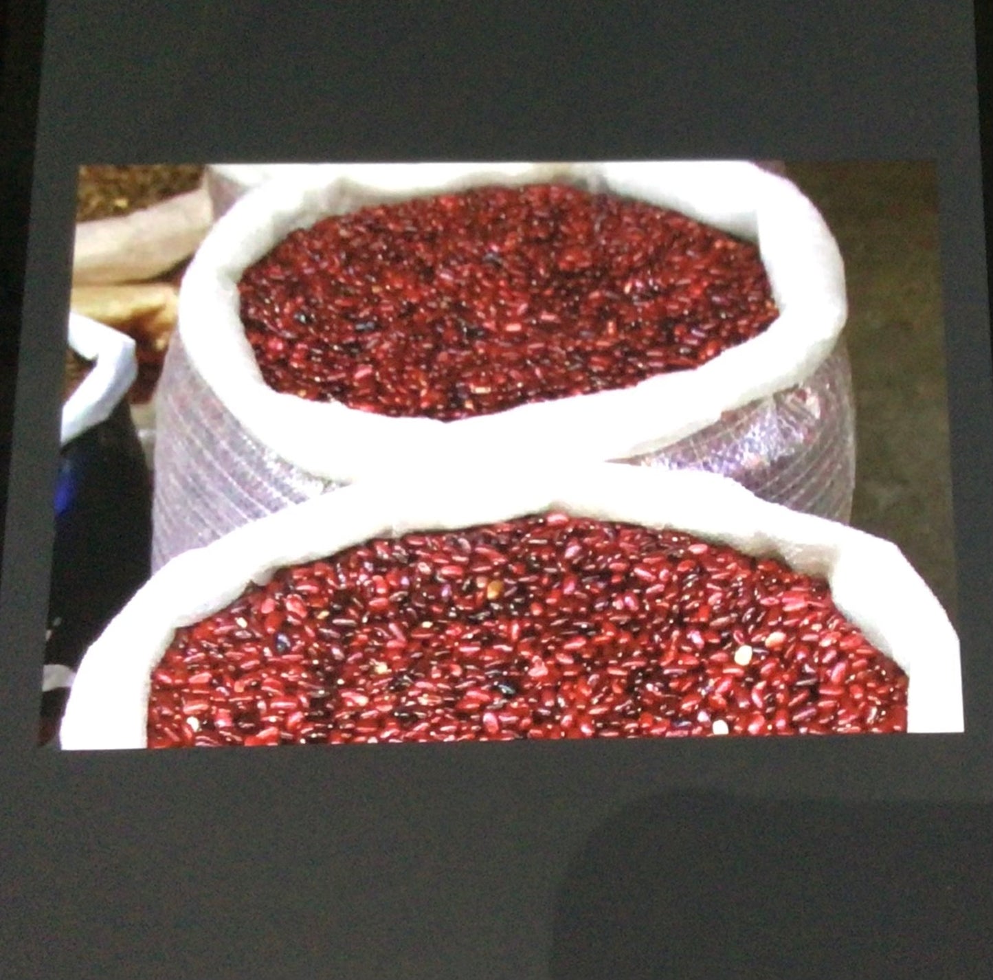 Frijol Rojo de seda premium 1 lb