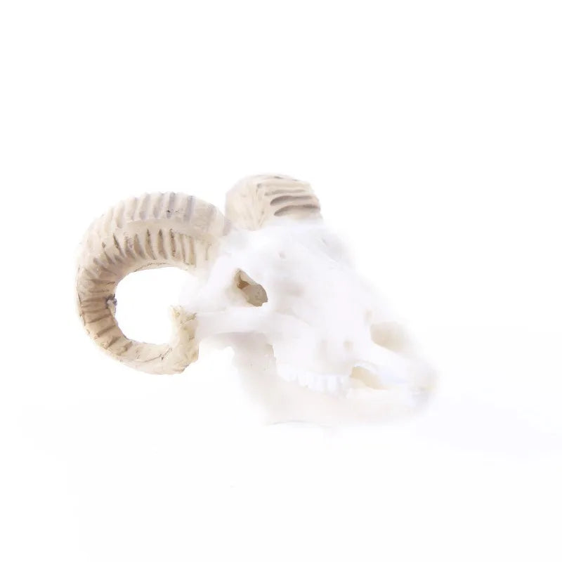 Decoración para Acuario Cráneos de Resina - Dinosaurios, Cocodrilos y Animales para Pecera