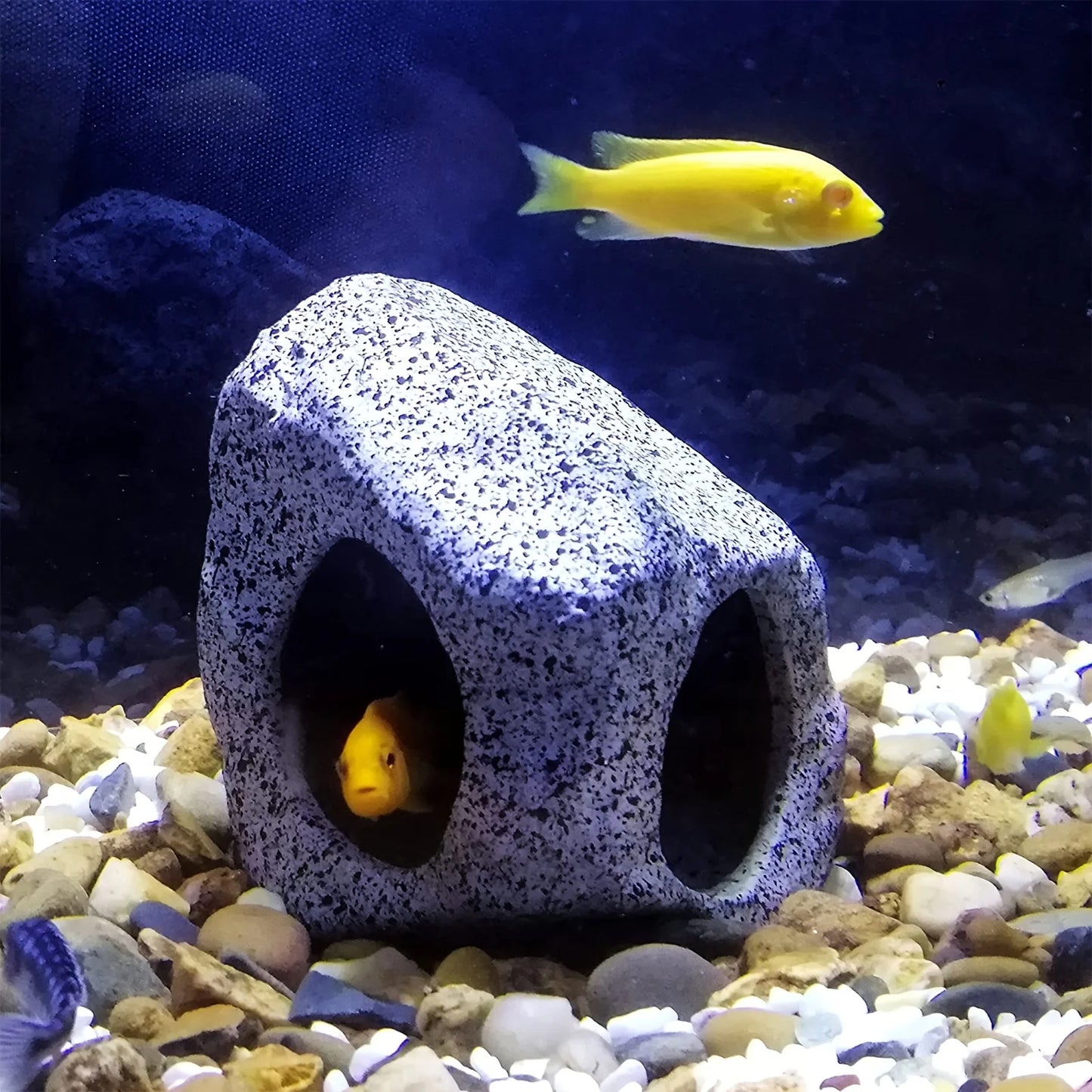 Cueva Decorativa para Acuario con Rocas Naturales - Refugio para Peces de Pecera